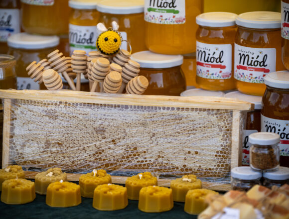 Wielkopolski Dzień Pszczół na&nbsp;Kaliskim Zawodziu