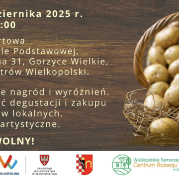 Poszukiwana pyra gigant i&nbsp;najlepsza potrawa z&nbsp;pyry