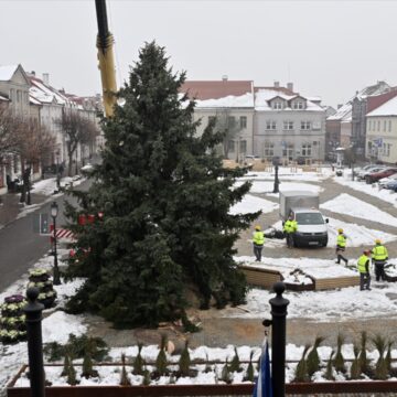 Choinka na&nbsp;Placu Wolności