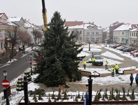 Choinka na&nbsp;Placu Wolności