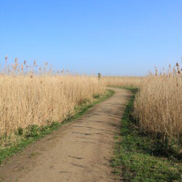 Prawie 27 mln zł na&nbsp;drogi, drzewa i&nbsp;zbiorniki wodne w&nbsp;Wielkopolsce