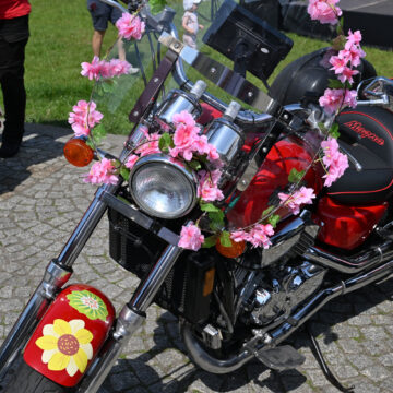 ZYB_4554 Kolorowe święto kwiatów nad Wartą